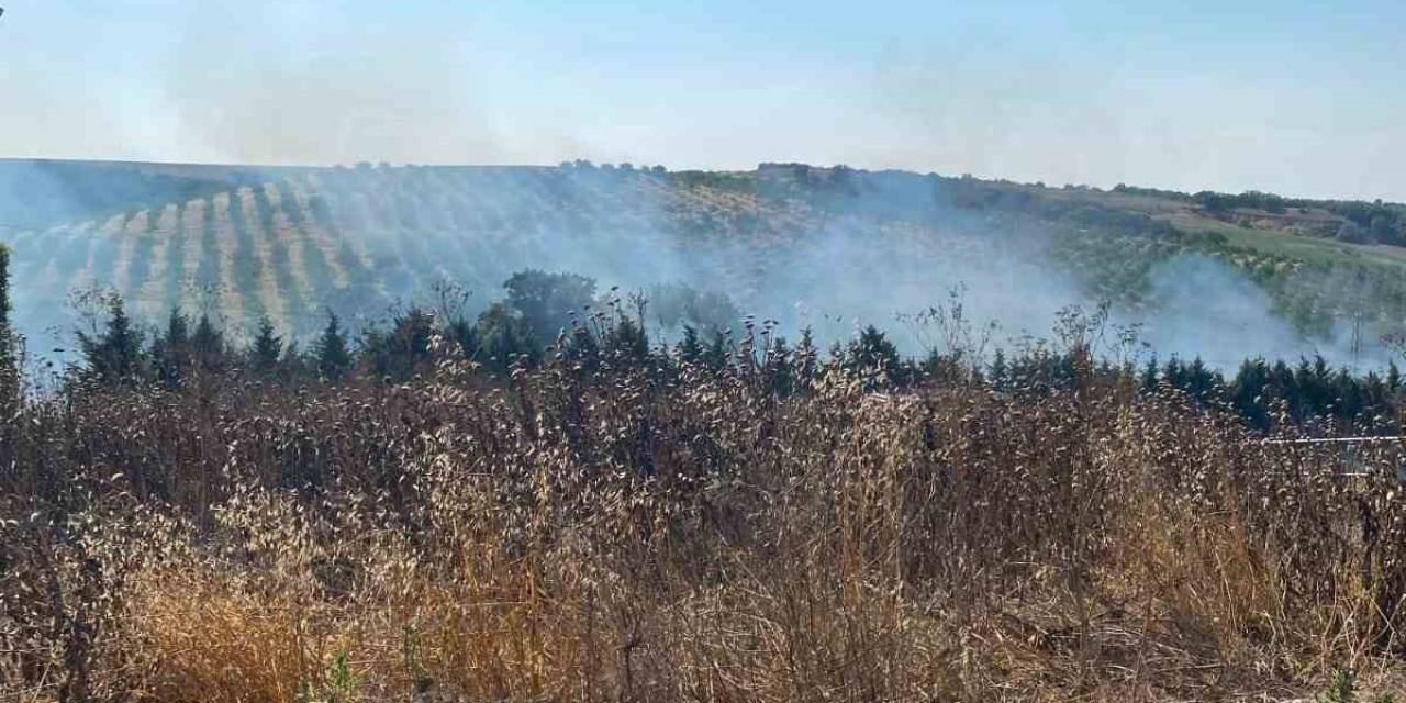 Tekirdağ’da Bir Çiftlikte Çıkan Yakın Ekiplerce Söndürüldü