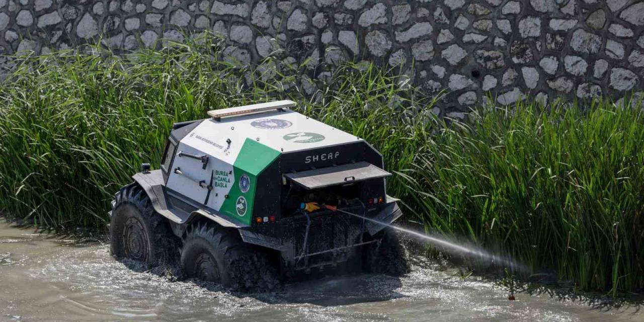 Sinekle Mücadele Hız Kesmiyor