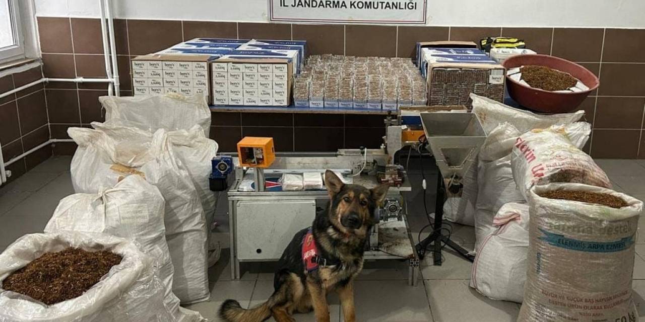 Jandarmadan Kaçak Sigara Operasyonu