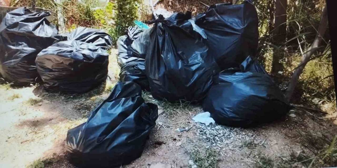 Beyazsu Mesire Alanı’nda Vatandaş Traktör Kiralayarak Çöpleri Toplatıyor