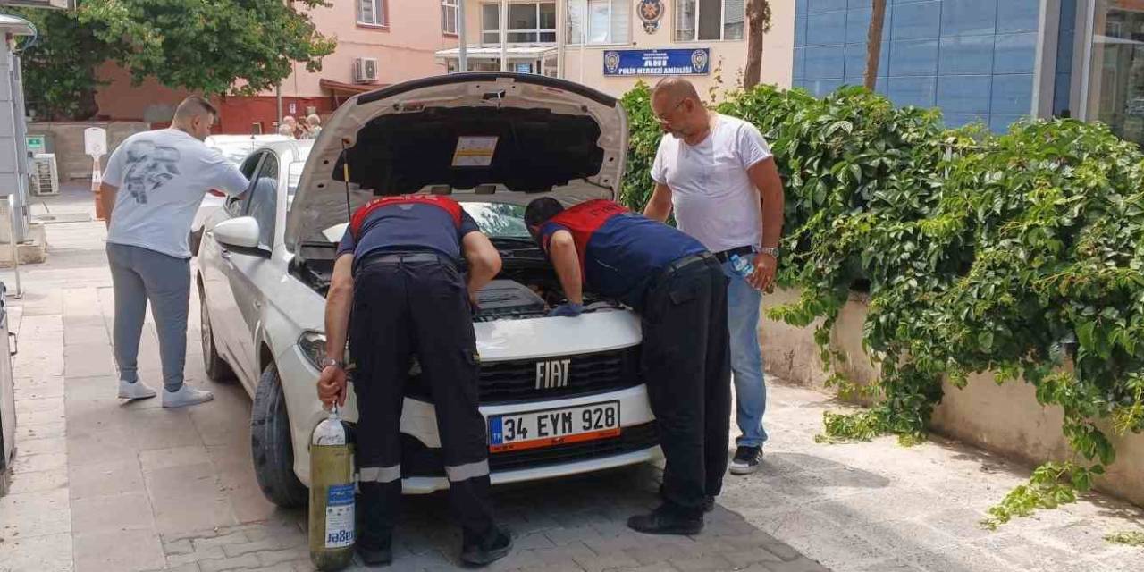 Otomobilinin Marşına Kedi İçin Basamıyor