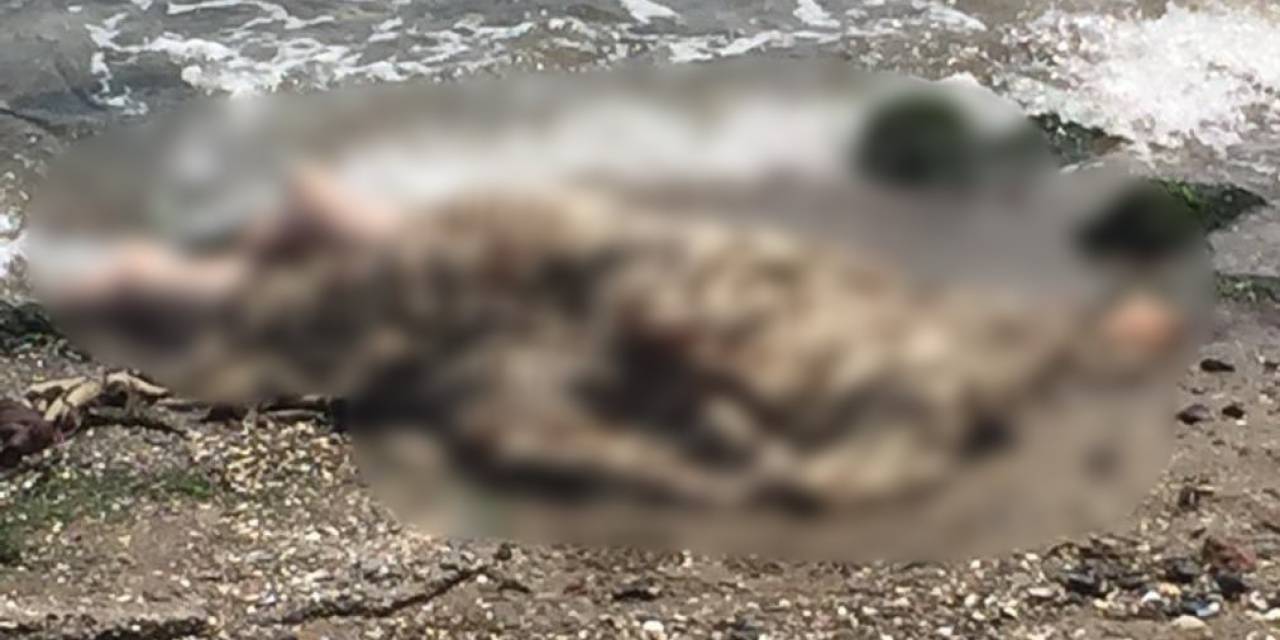 İzmir’de Deniz Kenarında Erkek Cesedi Bulundu