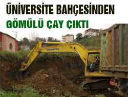 Rize'de Gömülmüş Çay