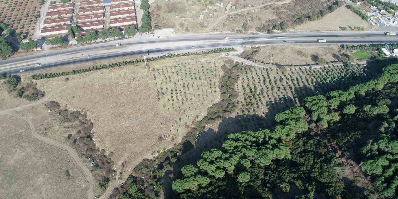 Şehzadeler’e Yeni Piknik Alanı Müjdesi