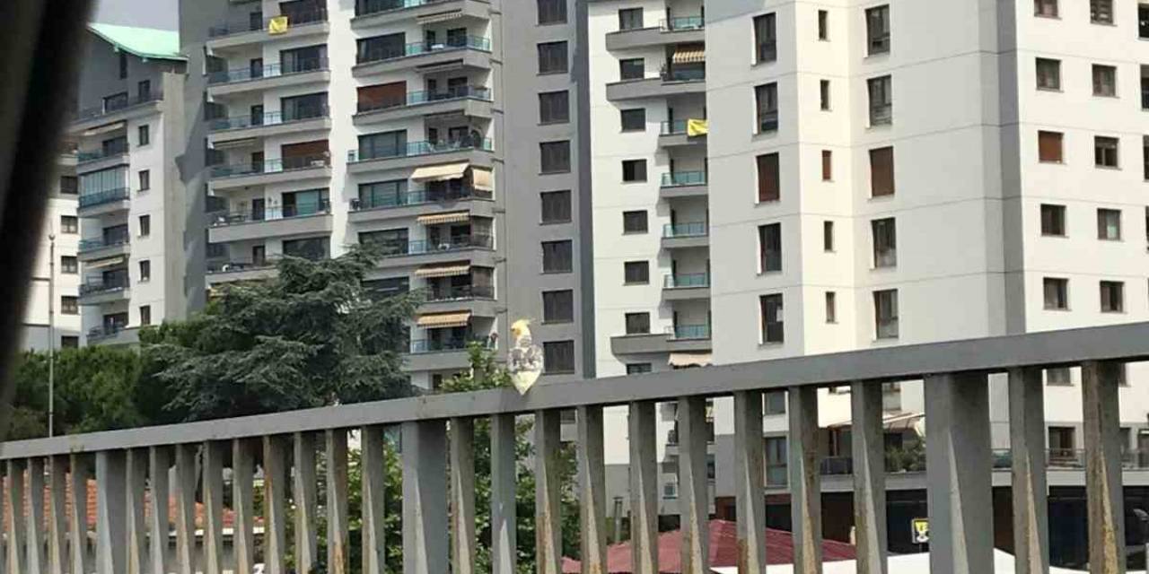 Otomobilden Kaçan Papağan Sahibine Zor Anlar Yaşattı