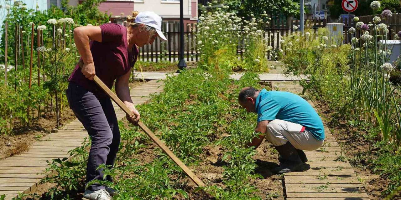 Atatohum’da Yazlık Fideler Toprakla Buluştu