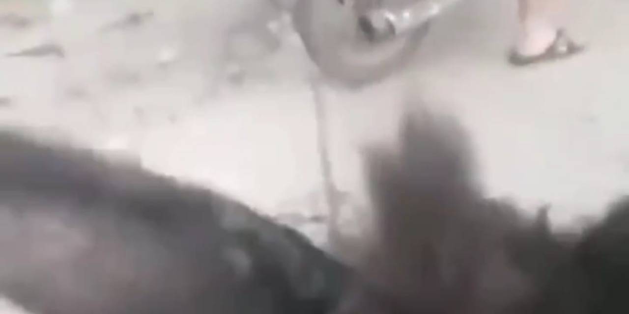 Motosiklete Bağladıkları Eşeği Kilometrelerce Koşturdular