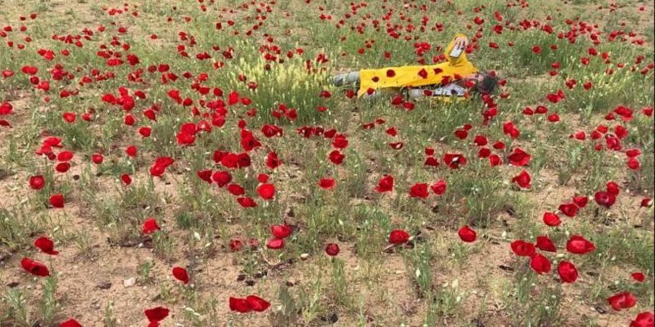 Sanatçı Profesörden “bir Bitki Bir Selfie: Gelincikler” Performansı