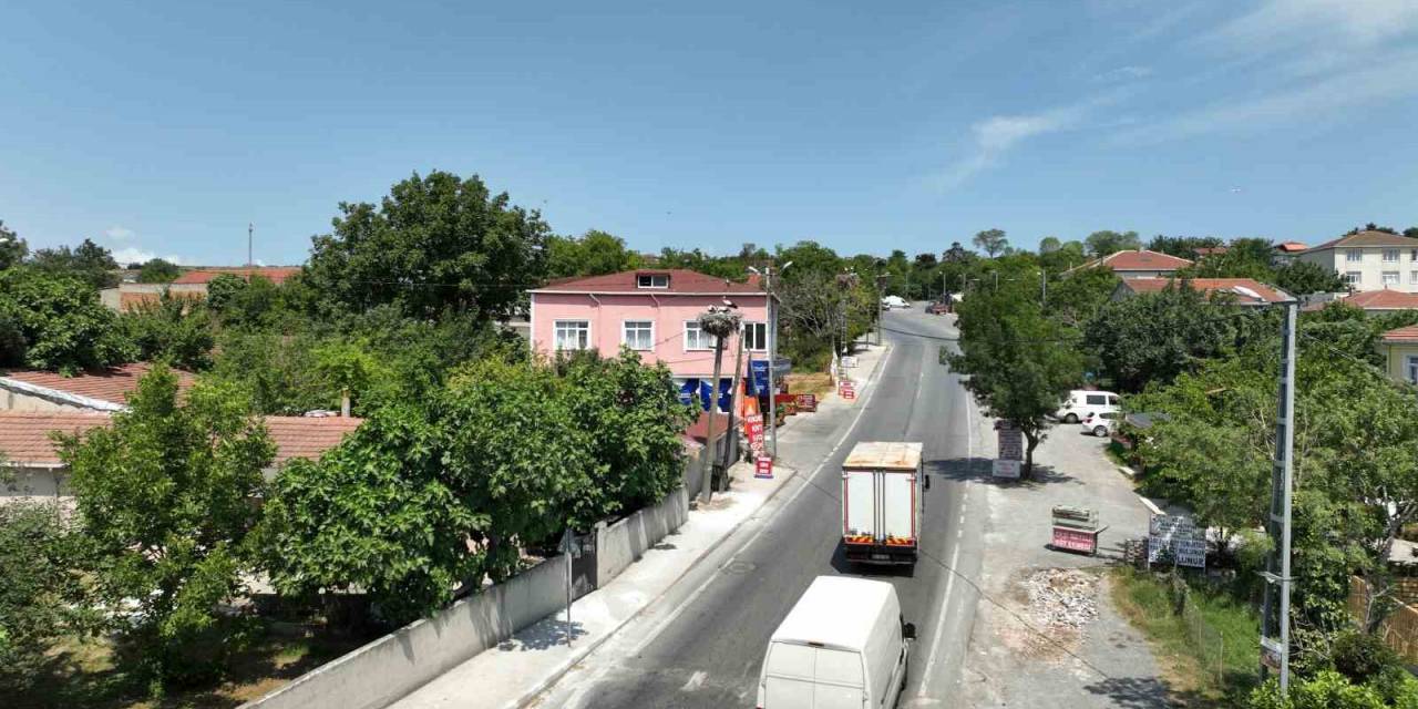 Leylekler İstanbul’da İnsanlarla İç İçe Yaşıyor