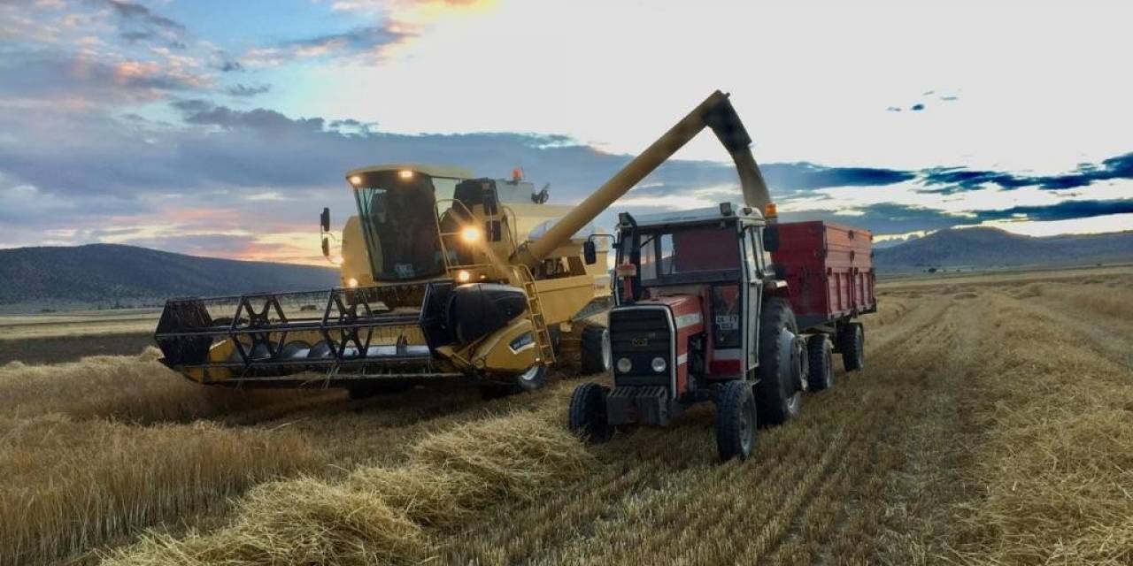 Doluya Rağmen Dönümden 500 Kilogram Verim Alan Çiftçi Memnun