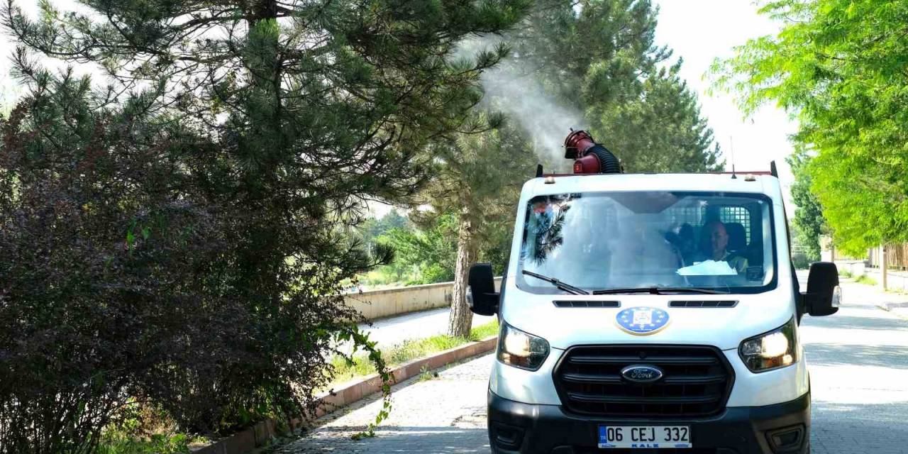 Sinek Ve Haşere İle Mücadele