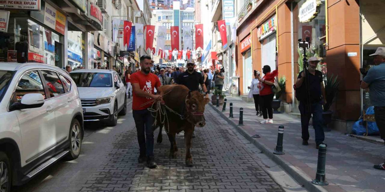 42. Kafkasör Festivali Boğalı Kortej Yürüyüşüyle Başladı