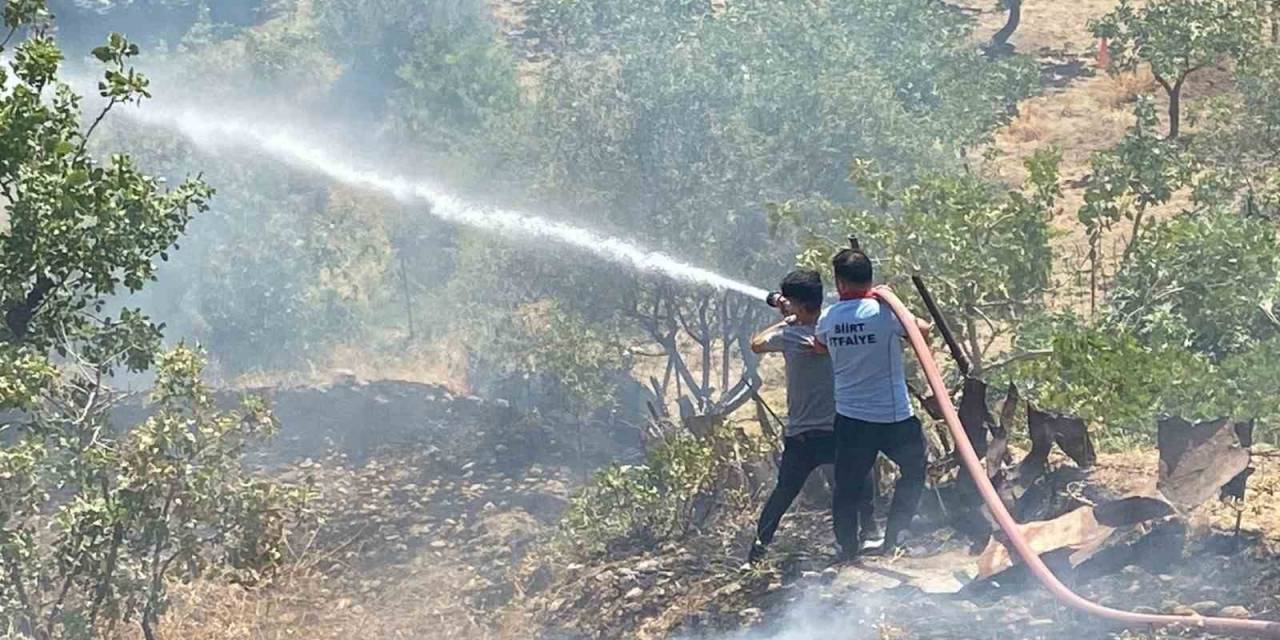 Siirt’te Fıstık Bahçesinde Çıkan Yangın Söndürüldü