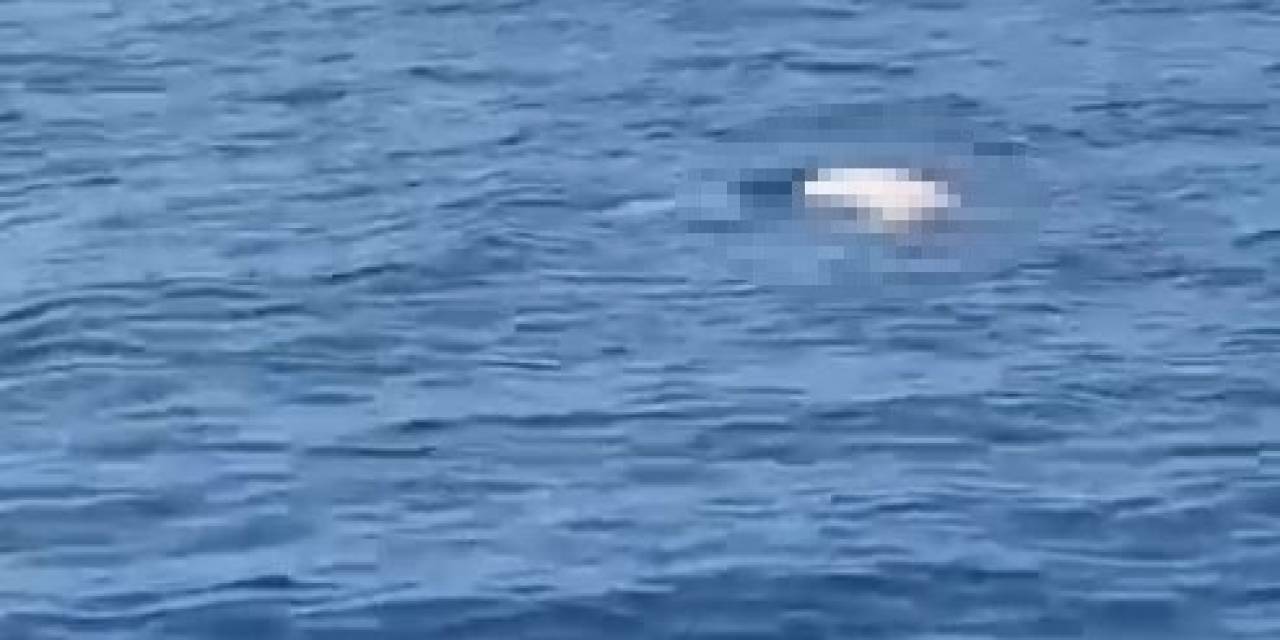 Antalya’da Deniz Üzerinde Erkek Cesedi Bulundu