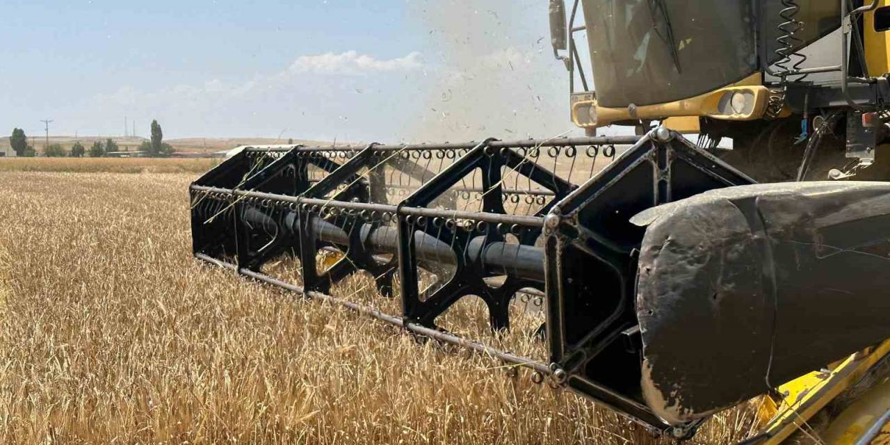 Başkent’te Arpa Hasadı Başladı