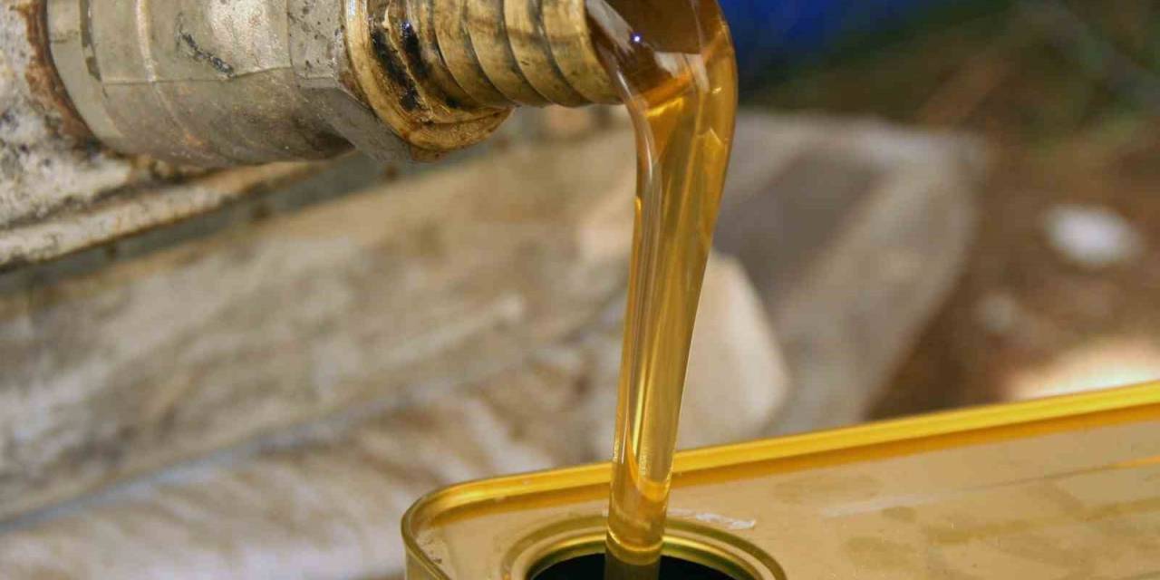 Marmaris Ticaret Odası Başkanı Ayhan: "çam Balında Rekolte Yükseliyor"