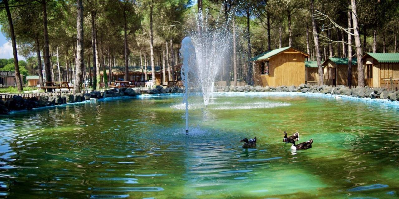 Samsun’un Yeni Turizm Merkezi: Çarşamba Orman Park