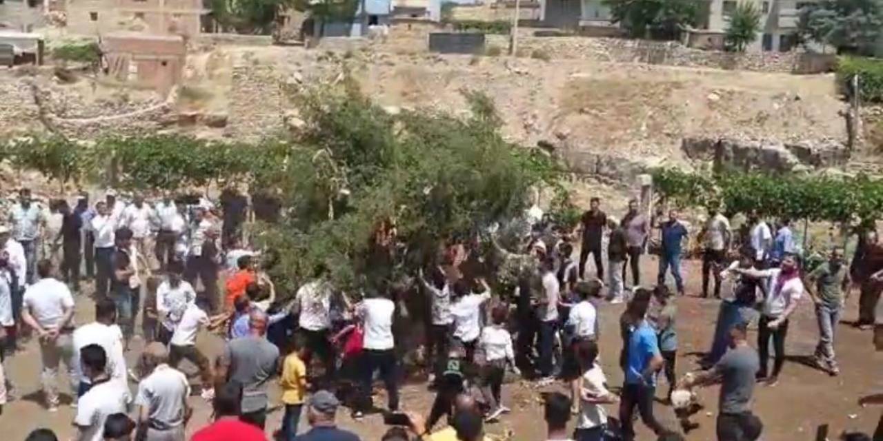 Siirt’te Damat Çiftçi Olunca Düğün Konvoyu Traktörlerden Oldu