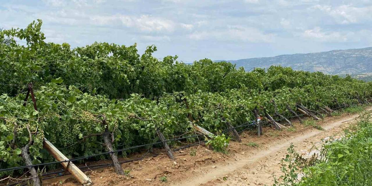 Manisa’daki Fırtına Ve Dolunun Yol Açtığı Zarar Tespit Edilmeye Başlandı