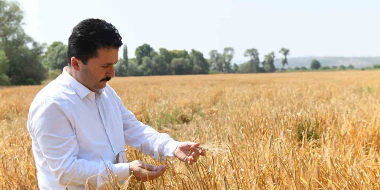 Altıeylül’ün Tarlasından İhtiyaç Sahiplerinin Sofrasına