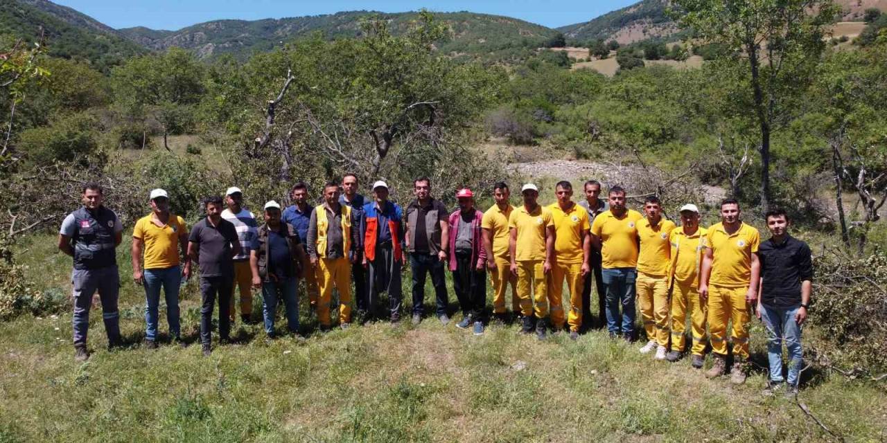Amasya’da Menengiç Ormanları ‘fıstık’ Gibi Olacak