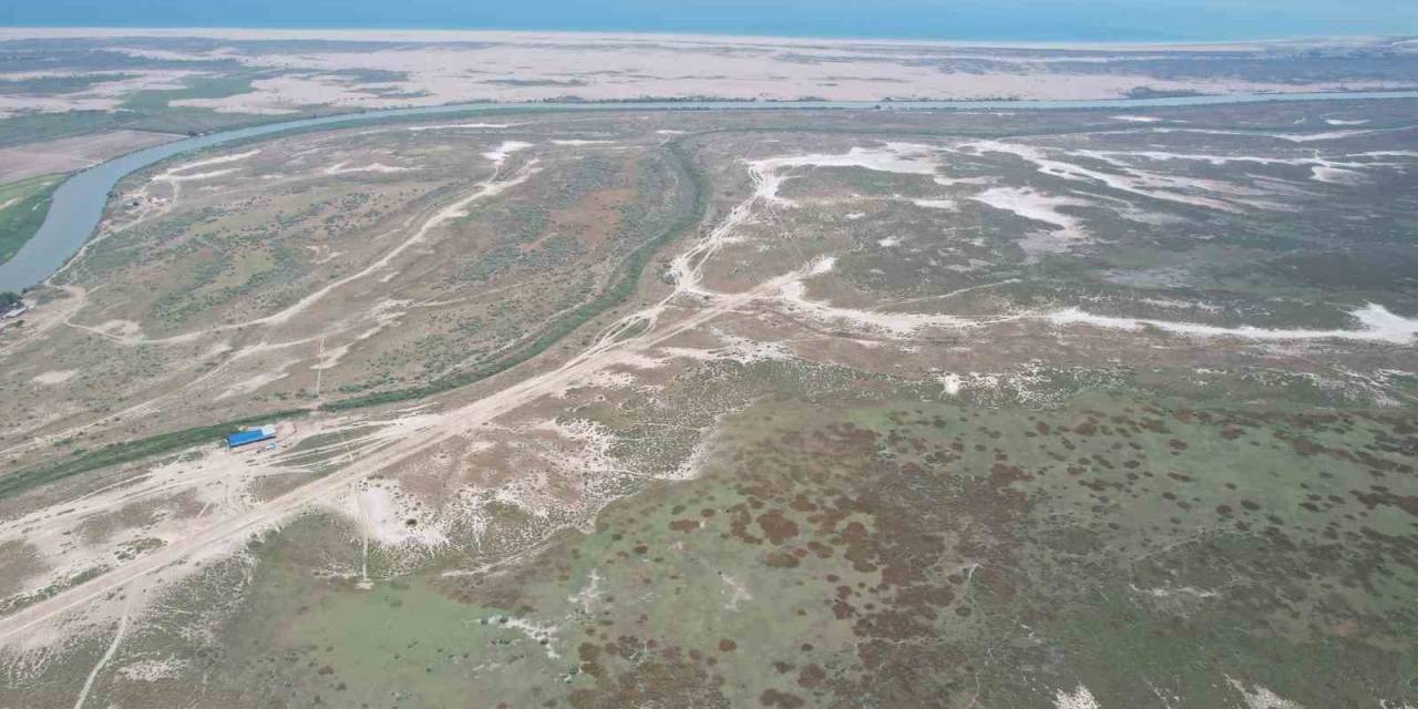 Tarla Balıkçılığı Ekonomiye 450 Milyon Dolar Katkı Sağlayacak