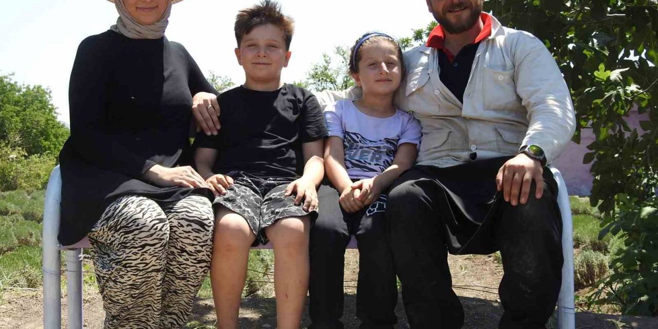 Genç Girişimci Çiftin Kurduğu Lavanta Bahçesinde Hasat Başladı