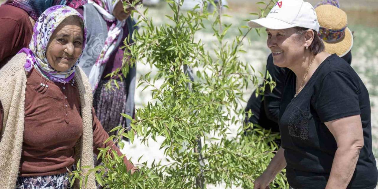 Mersin Büyükşehir Belediyesinin Tarımsal Üretime Desteği Sürüyor