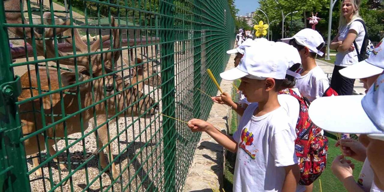 Keçiören Belediyesi, Çocuk Eğitim Merkezi’ndeki Öğrencileri Keçiören Turuna Çıkardı