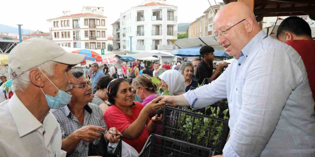 Menteşe Belediyesi Ata Tohumlarından Üretilen 10 Bin Sebze Fidesi Dağıttı