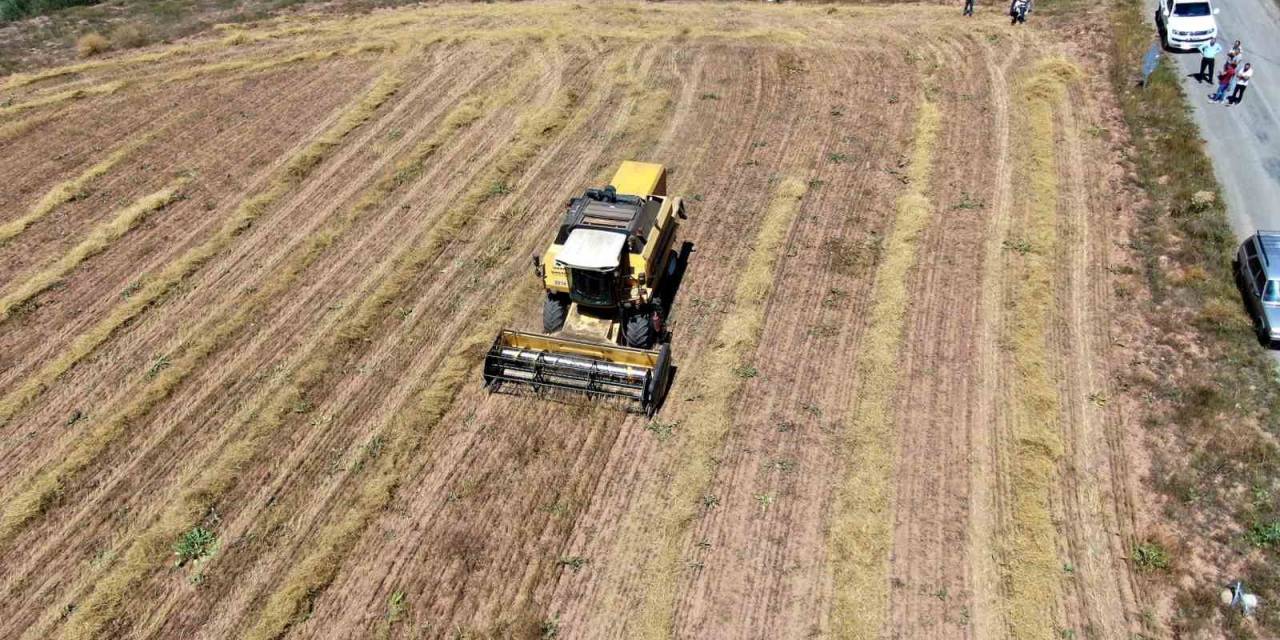 Bolu’da Biçim Ve Balya Yapımı Fiyatları Belirlendi