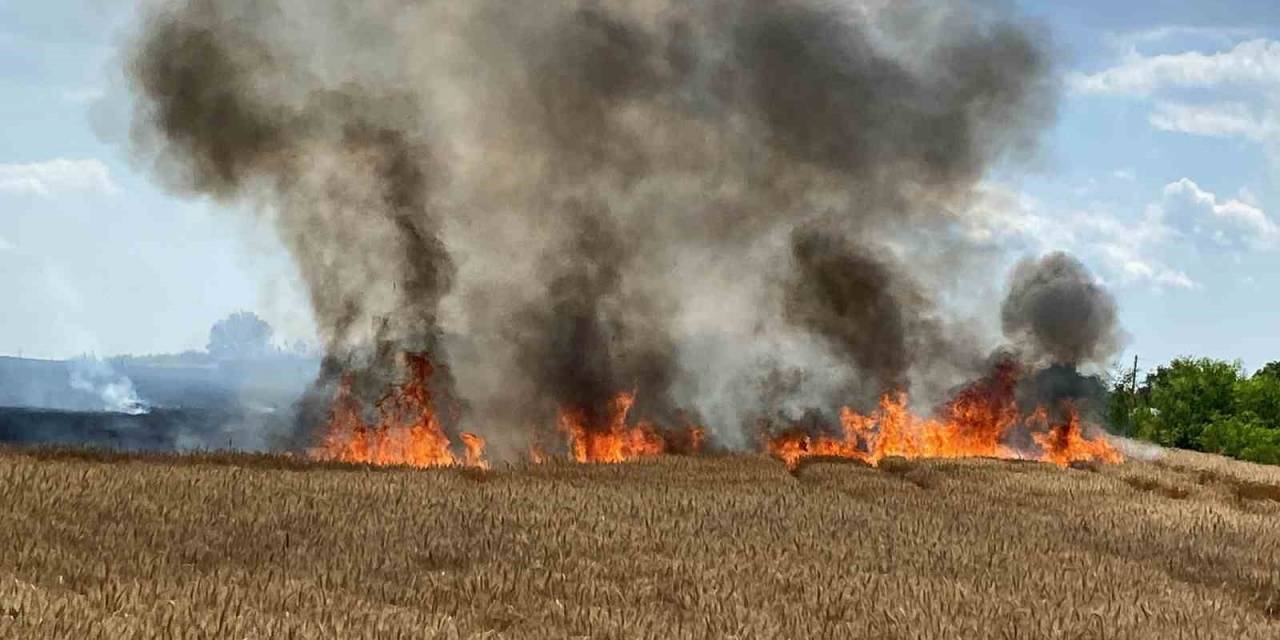 Kırklareli’de 20 Günde Yaklaşık 500 Dönüm Buğday Tarlası Yandı