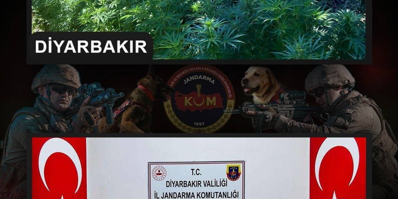 Diyarbakır’da 357 Bin Kök Hint Keneviri, 86 Kilo Kubar Esrar Ele Geçirildi