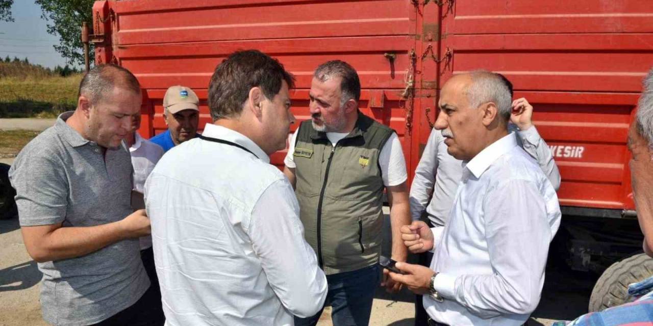 Çiftçinin Beklediği Alımlar Başladı