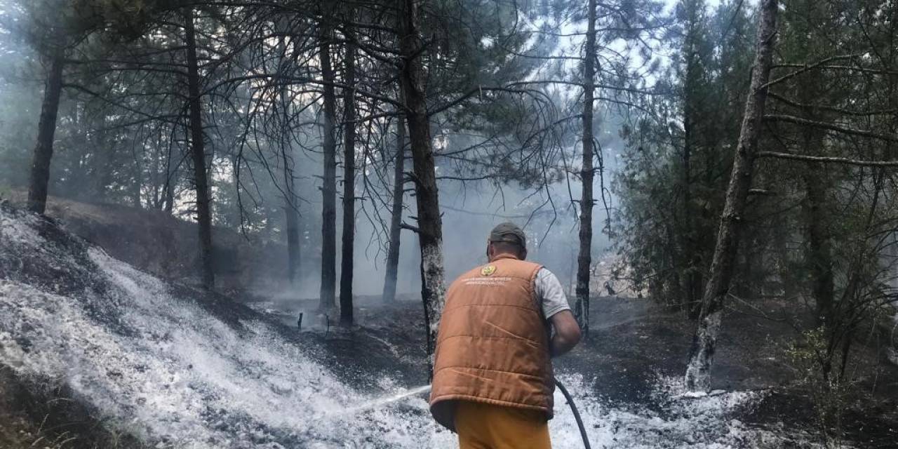 Bademlik Tepesinde Çıkan Yangın Söndürüldü