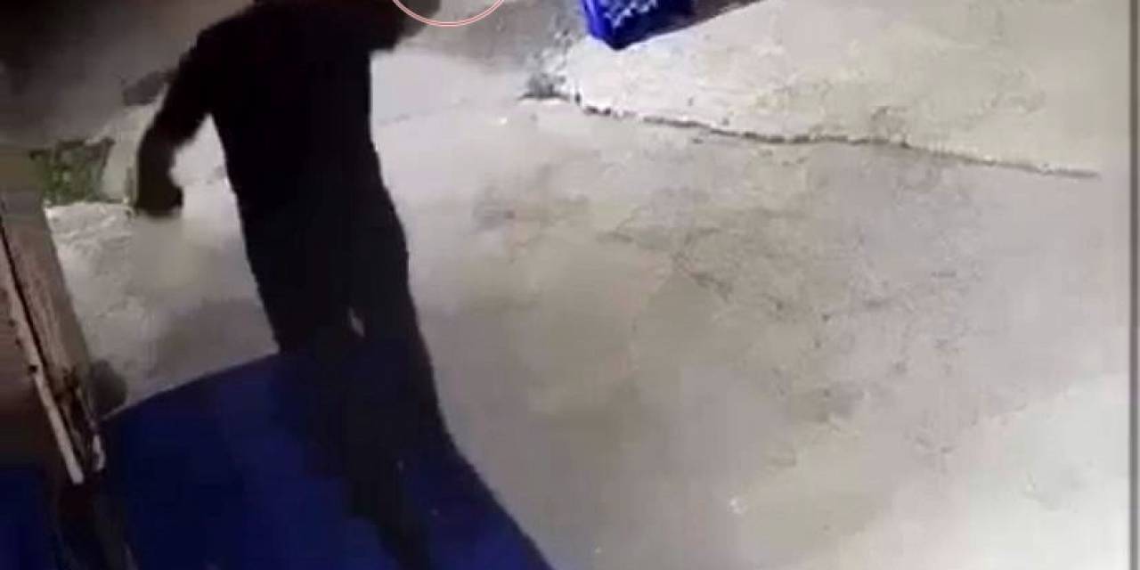 Sakarya’da Dehşete Düşüren Görüntüler