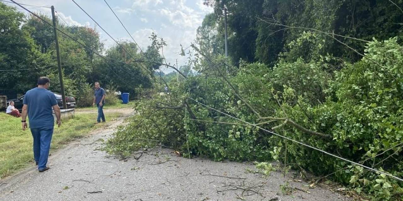 Devrilen Ağaç Elektriksiz Bıraktı