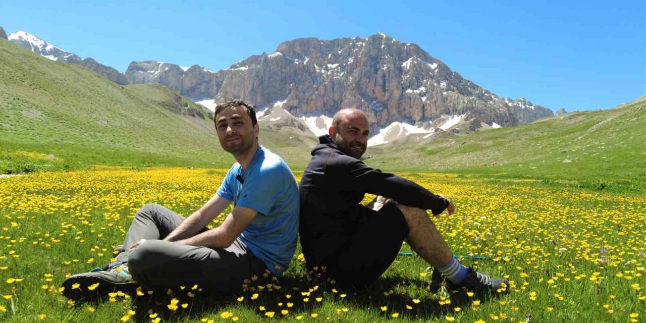 İsviçre Alperi Değil, Munzur Dağı’nda Ki Merg Yaylası