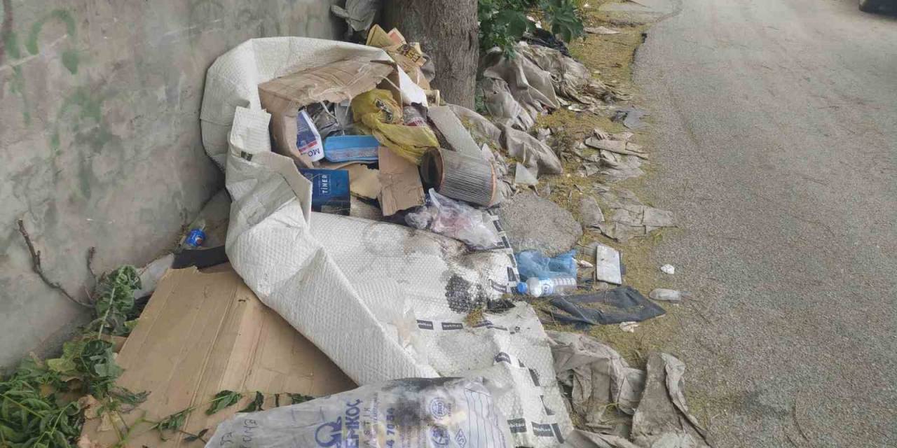 Her Köşeye Çöp Dökmek Serbest Mi ?