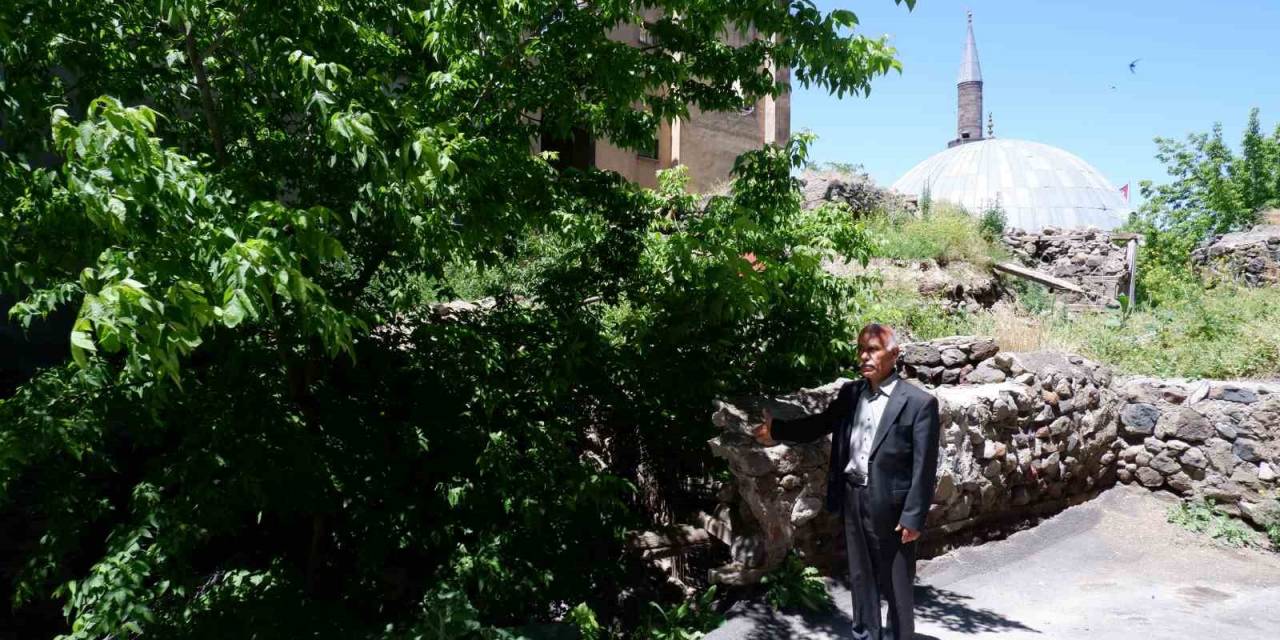 Ahi Toman Baba Türbesi Kurtarılıyor