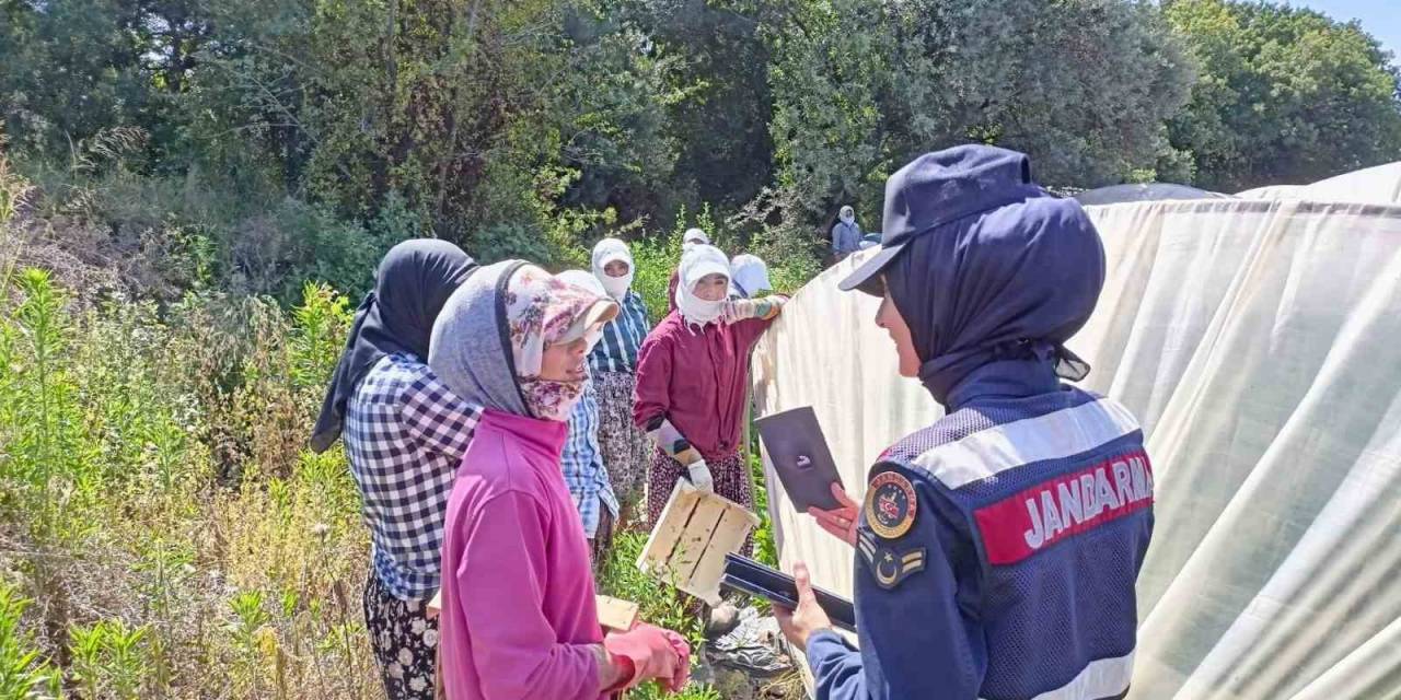 Çilek İşçisi Kadınlara “en İyi Narkotik Polisi Anne” Projesi Anlatıldı