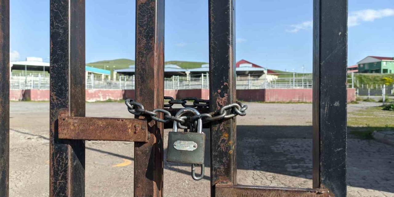 Ardahan’da Şap Alarmı