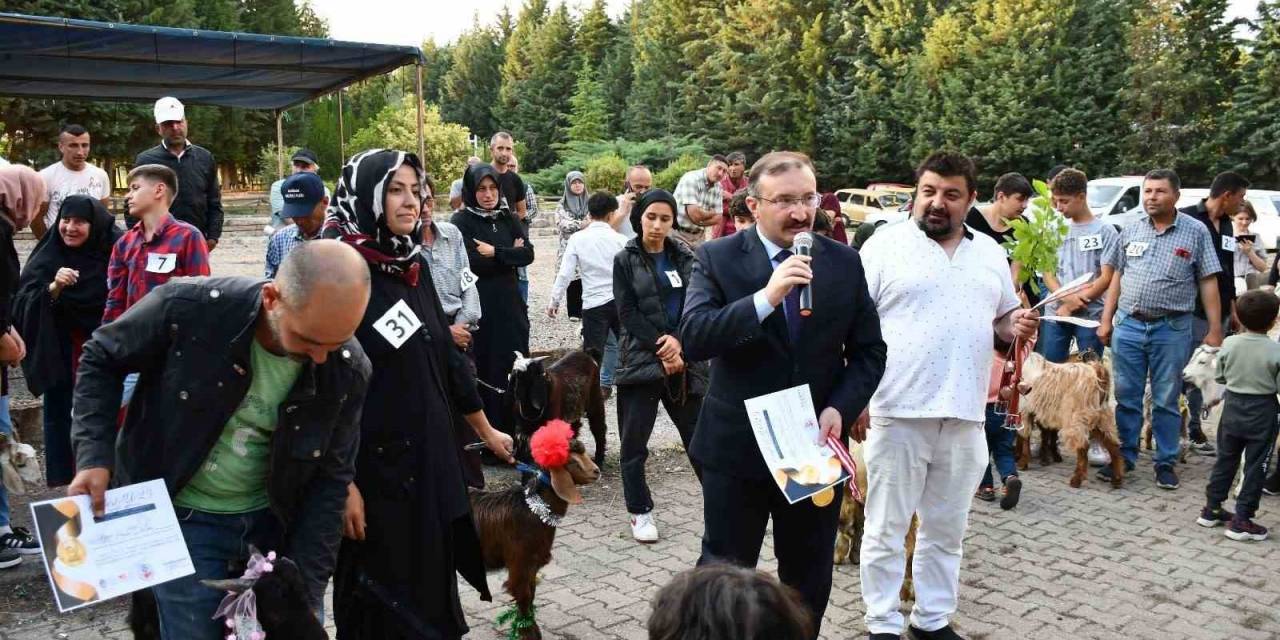 Belediye Başkanı Doğan: "dağıttığımız Oğlak Sayısı Bin 300’e Ulaştı"