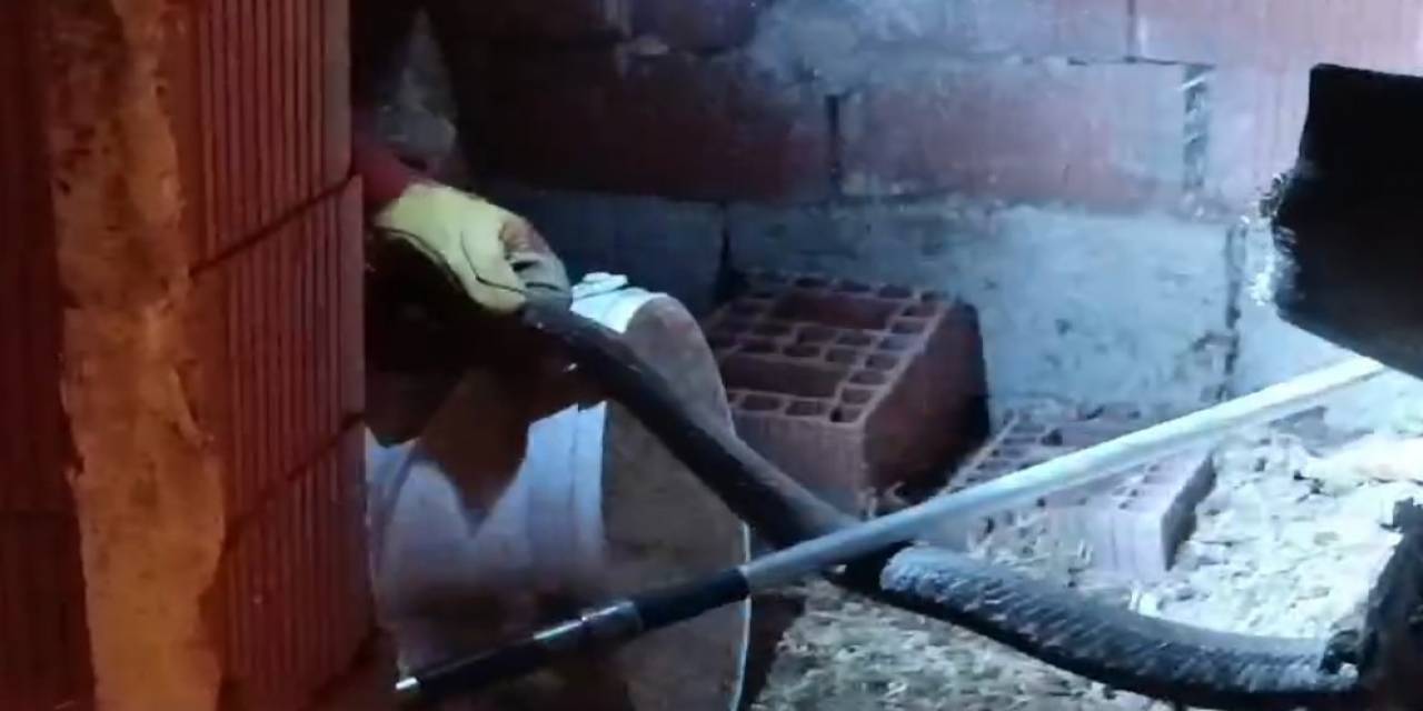 Türkiye’nin En Zehirli Yılanı Tavuk Kümesine Girdi