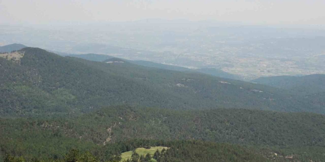 Uşak’ta Ormanlık Alanlara Girişler Kısıtlandı