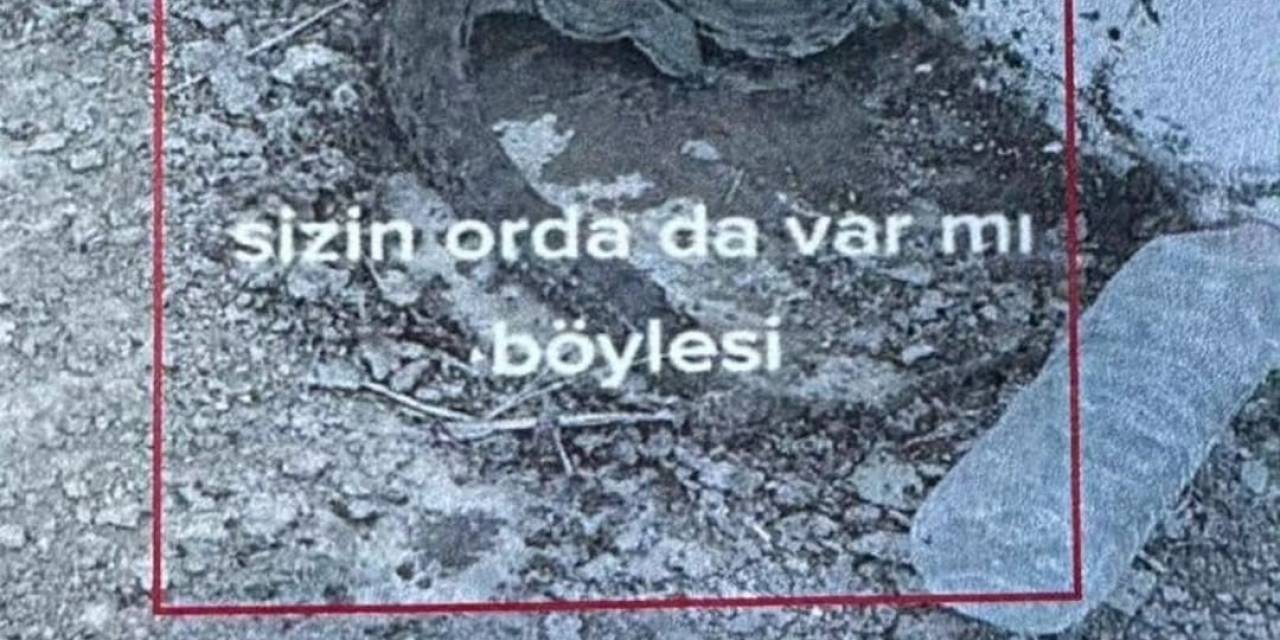 Iğdır’da Engerek Yılanlarını Yakalayıp Videosunu Paylaşan Çobana 5 Bin 500 Lira Ceza