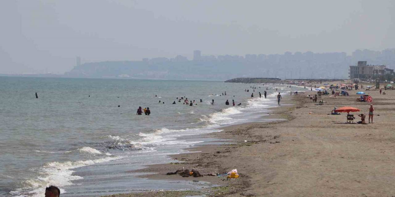 Rip Akıntısında Hayatta Kalma Formülü