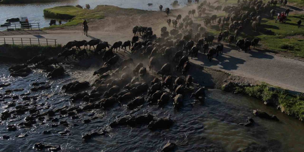 Burası Afrika Değil Kayseri