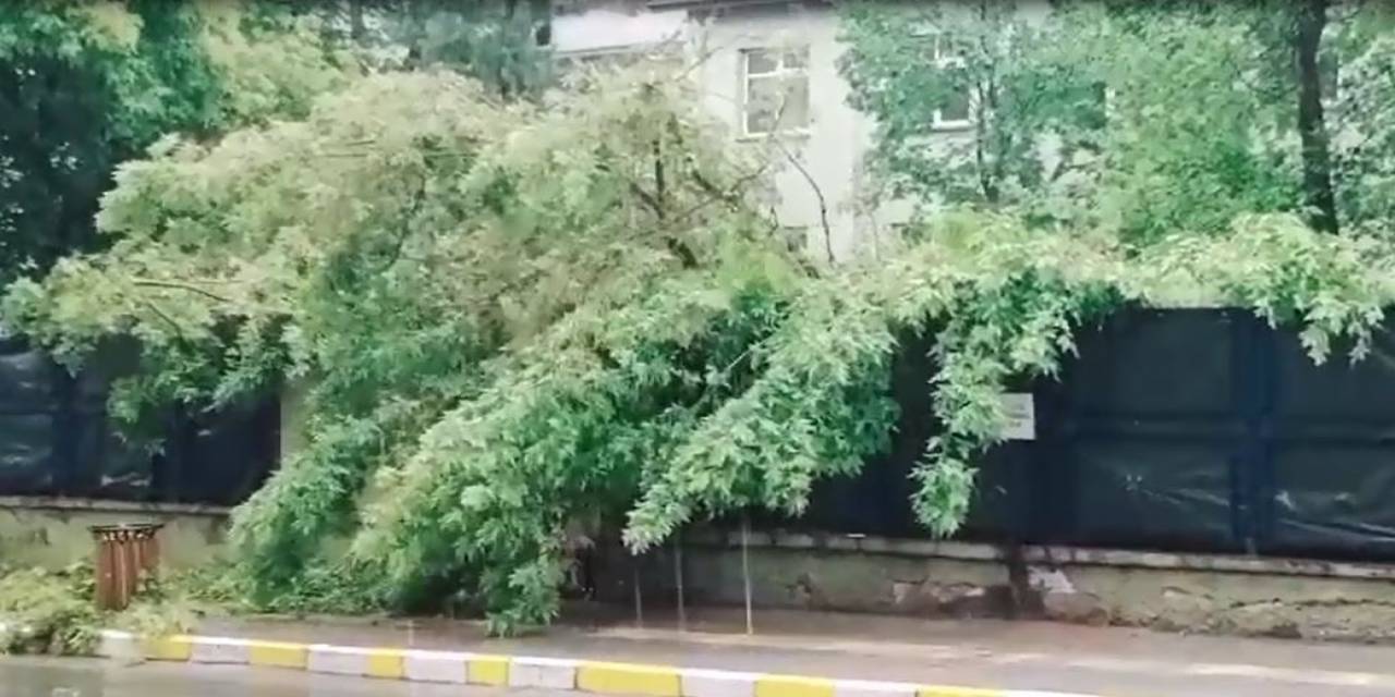 Ardahan’da Yıldırım Çarpması Sonucu Bir Çocuk Öldü