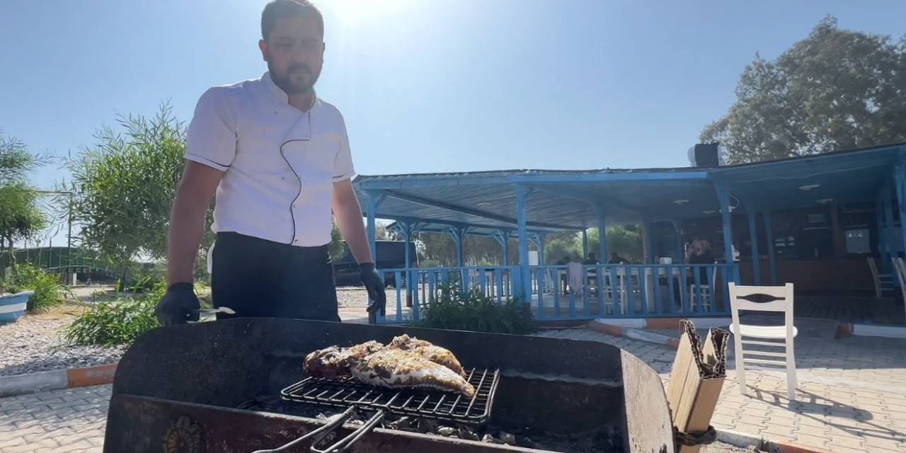 Balıkçıların Korkulu Rüyası Türk Mutfağına Yeni Bir Lezzet Olarak Ekleniyor